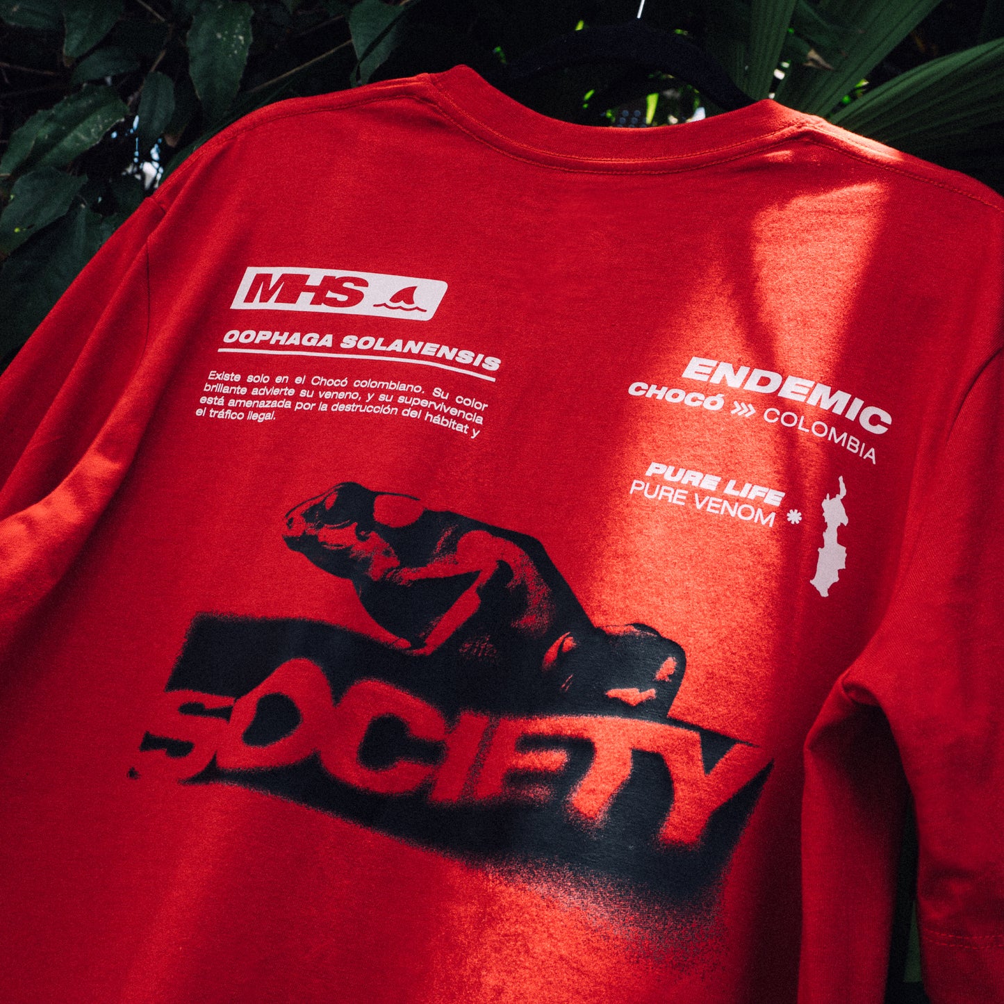 Camiseta Solanensis