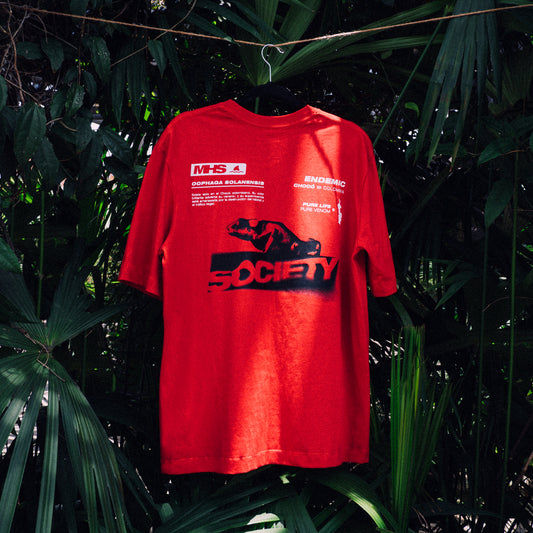 Camiseta Solanensis