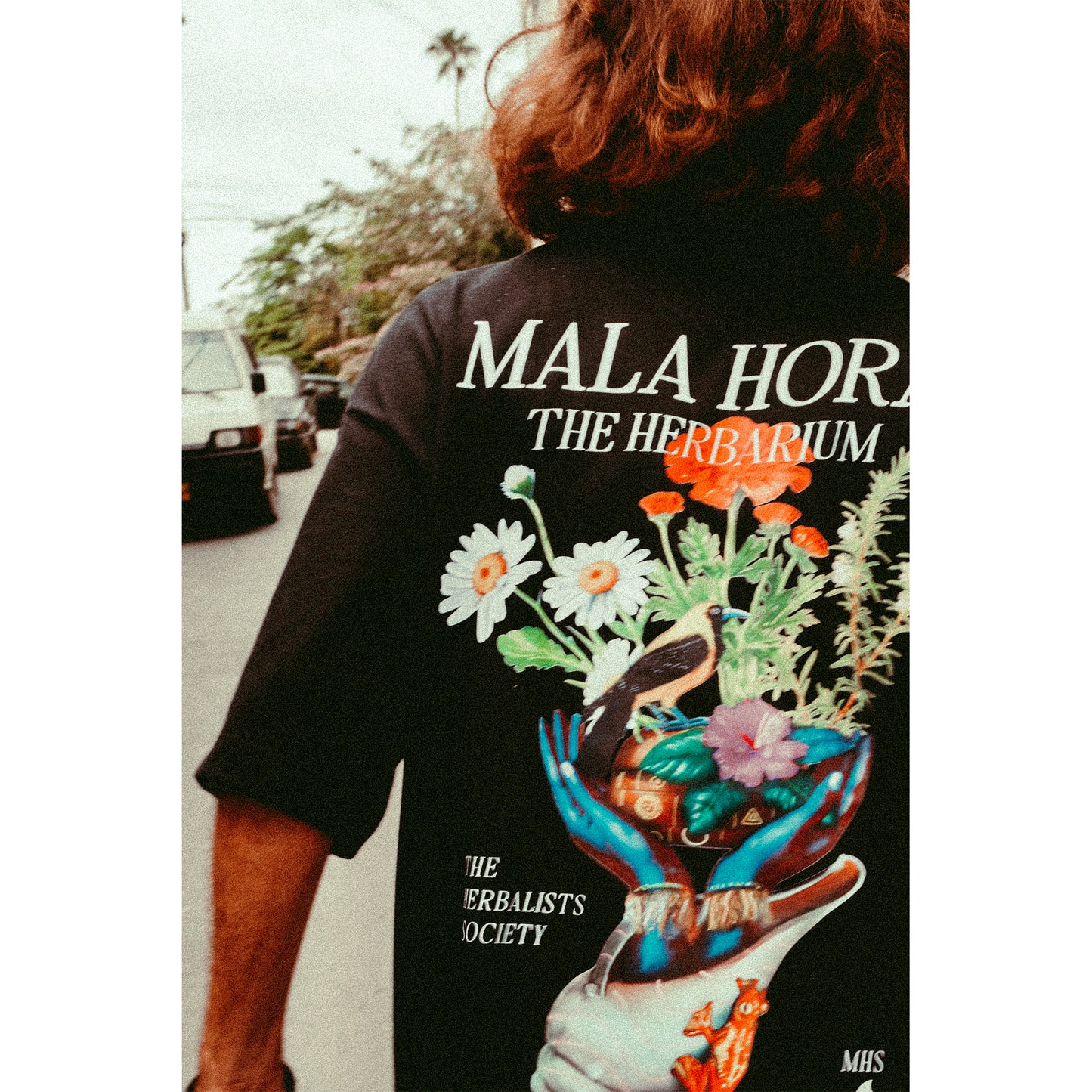 Camiseta Oversize Herbarium